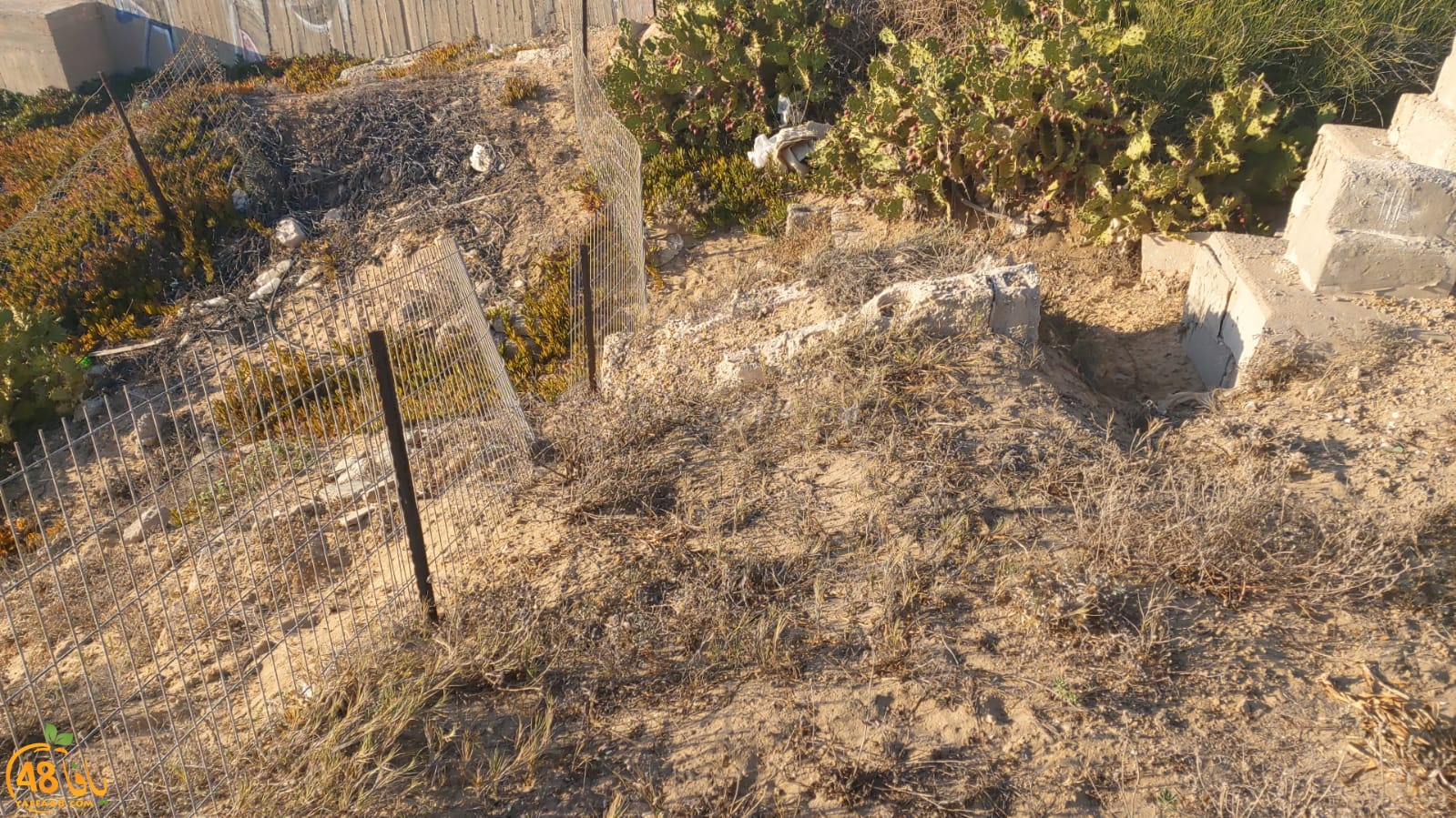 WhatsApp Image 2020-08-17 at 7.30.17 PM (1).jpeg.jpg.jpg